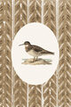 Image Not Available